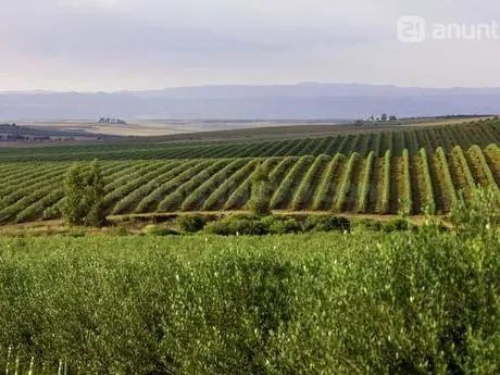 Finca rústica 999999m² en venta - Sevilla - foto 2