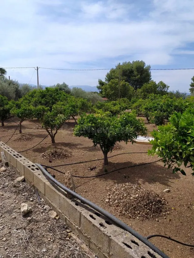 Terreno urbano 41m² en venta - Tortosa - foto 2