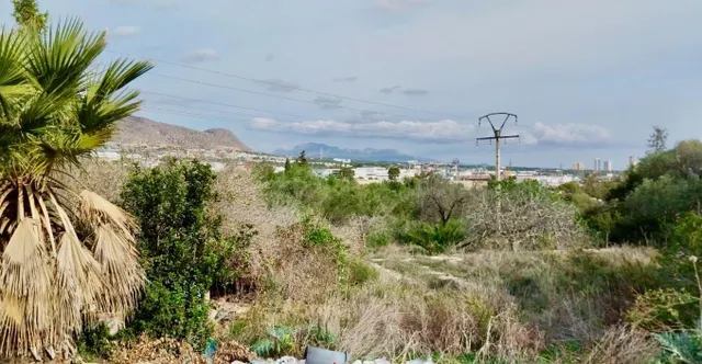 PARCELA RÚSTICA DE MÁS DE 15.000 M2 CON GRAN POTENCIAL DE IN - foto 2