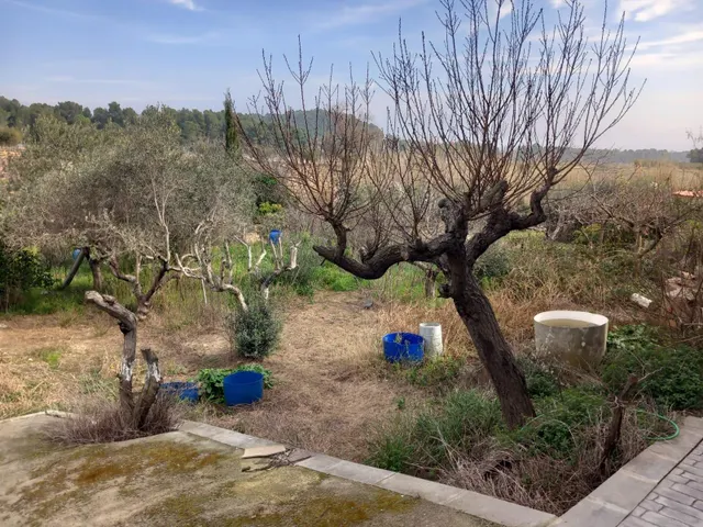 Casa 4 vientos en gran parcela con vistas a viñedos (1.040 m2) — 24