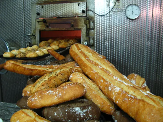 TRASPASO DE HORNO  BOLLERÍA  EN EL BOTANIC — 11