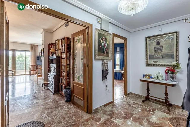 Pisazo en paseo del salón - Granada — 37