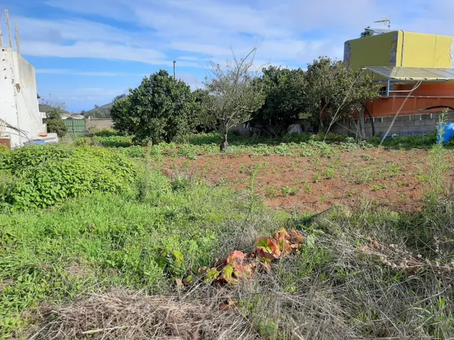 SOLAR URBANO CON FINCA RUSTICA — 15