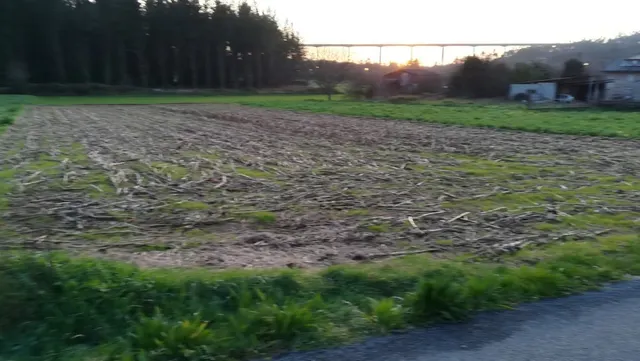 TERRENO Y EDIFICIO EN VENTA — 7