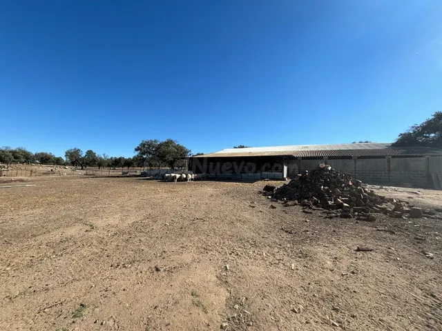 ¡¡ VENTA DE FINCA AGRICOLA Y GANADERA!! - foto 5