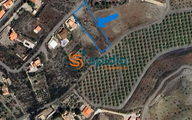 TERRENO RÚSTICO DE 2.200 m2 A LA VENTA EN TEBAR CON AGUA Y L - foto 5