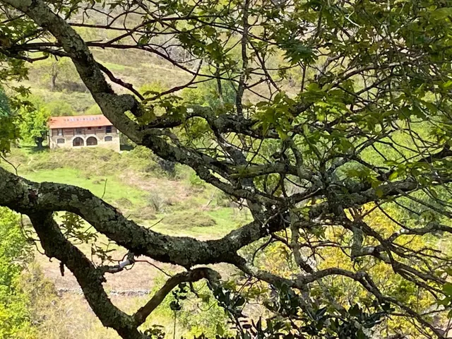 CASA DE PIEDRA EN PARQUE NATURAL RESERVA DEL SAJA — 42