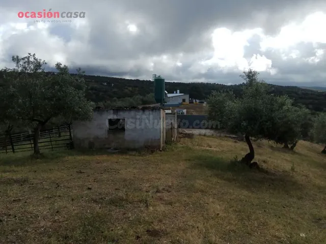 FINCA RUSTICA DE OLIVOS CON CORTIJOS Y NAVES - foto 2