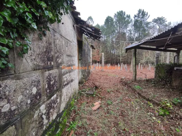 REF 2869 CASA PIEDRA PARA REFORMA INTEGRA CON 4024m2 TERRENO - foto 2