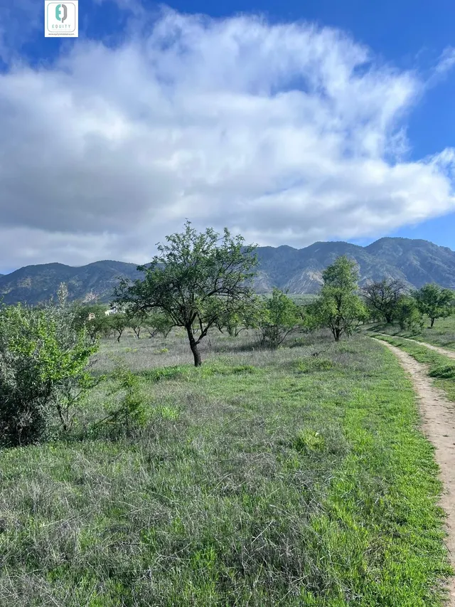 TERRENO RUSTICO EN PADUL — 9