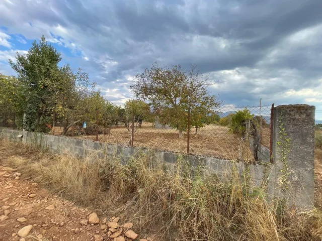 SE VENDE PARCELA CON CASETA — 34