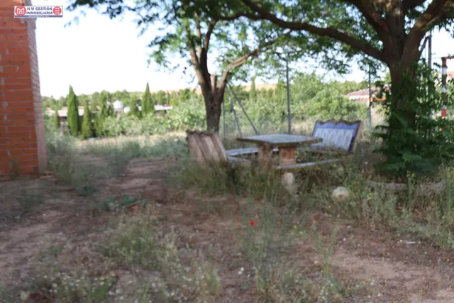 Finca Rústica en Alcázar de San Juan - Oportunidad Única por - foto 3