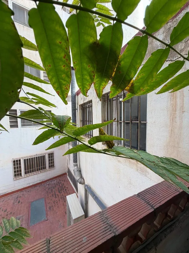 Amplio Local Comercial en la Zona de Santo Domingo, Alicante por solo €140.000 — 24