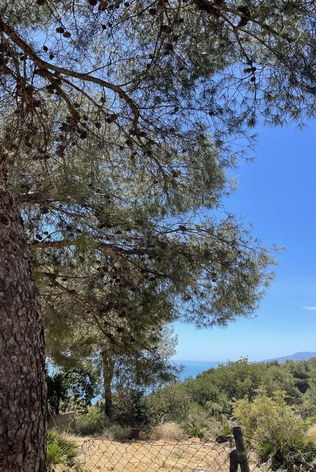 Parcela en venta - Jarazmín — 4
