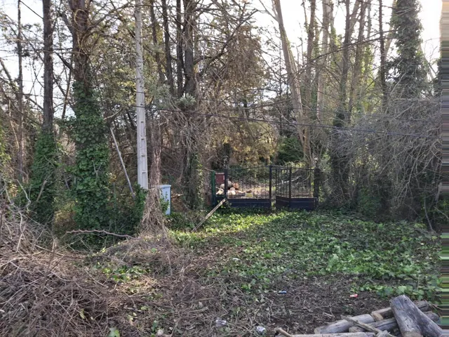 Finca con vivienda para venta — 18