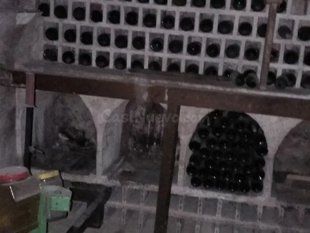 SE VENDE BODEGA EQUIPADA EN BURETA - foto 3