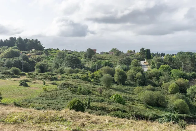 Venta de terreno el Campon - foto 2