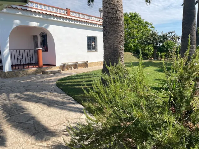 Terreno de 16.000 m2 con casa y cultivo de naranjos y olivos