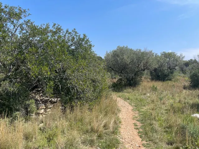 SUELO URBANIZABLE EN PLANA ESPANYOL. MONT-ROIG DEL CAMP (TAR - foto 2