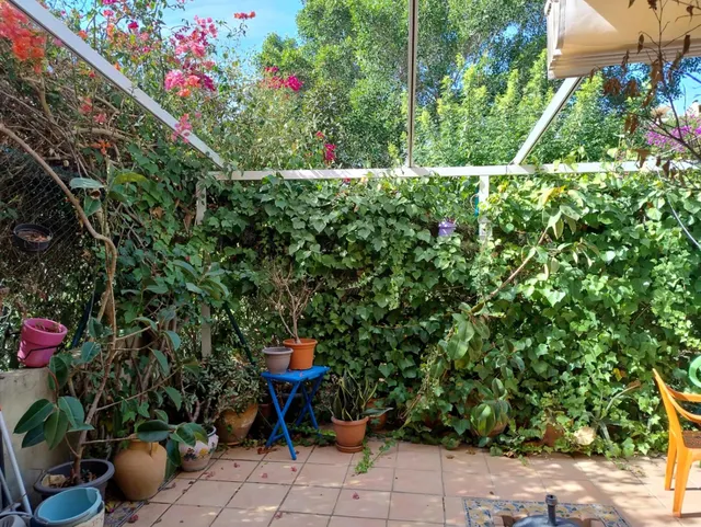 BUNGALOW EN PLAYA DE SAN JUAN ZONA ALICANTE GOLF — 39