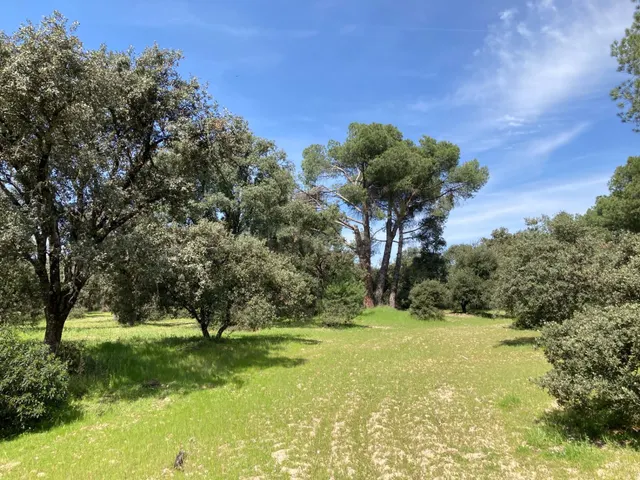 Magnífica parcela para casa unifamiliar en Urb. Encinas (Fin - foto 4