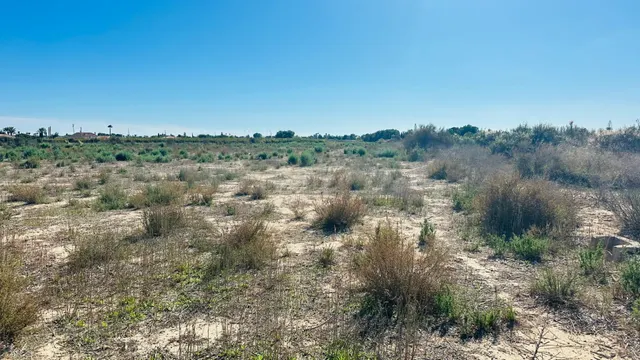 Terreno de 12.000 m2 en Perleta. — 3