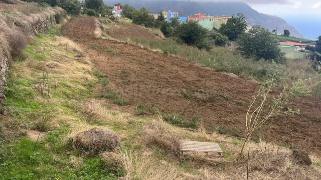 SE VENDE TERRENO RÚSTICO EN LOS REALEJOS – TENERIFE - foto 4