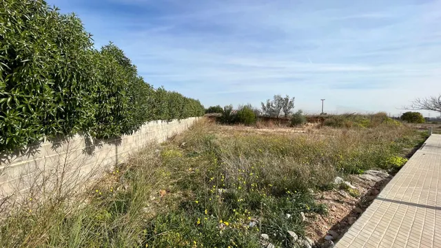 Parcela en El Vedat — 8