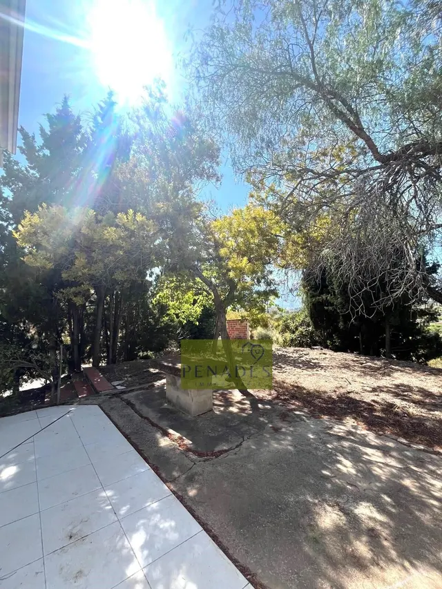Espectacular Finca en Venta en Bèlgida — 12