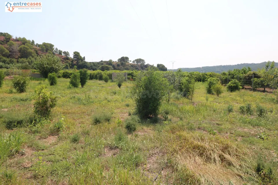TERRENO DE 2 HANEGADAS ENTRE PETRES Y ALBALAT TARONGERS