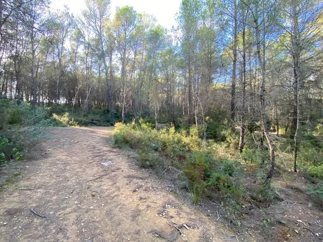 OPORTUNIDAD ENORME TERRENO EN VENTA POR 150.000€ — 19