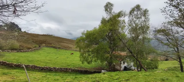 FINCA RÚSTICA CON CABAÑA Y VISTAS PANORÁMICAS EN LUENA.- — 9