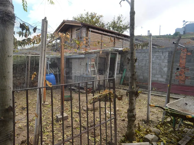 Finca Urbana en Bernuy - foto 2