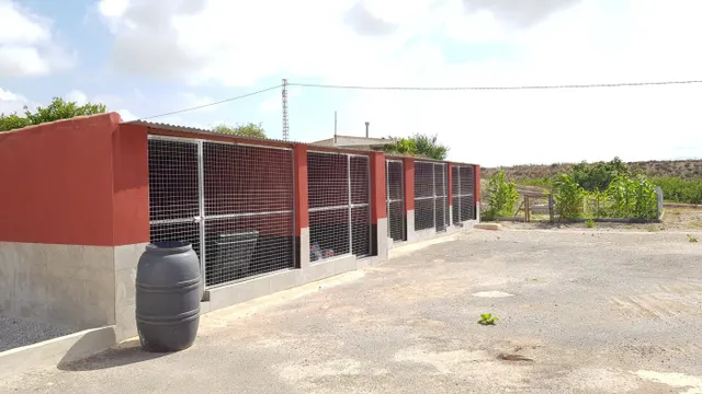 SE VENDE FINCA RÚSTICA DE 27.000 m Los Montesinos — 12