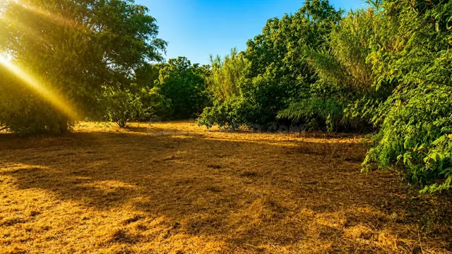 PARCELA URBANA EN JARDINES DEL MARQUESADO - foto 3