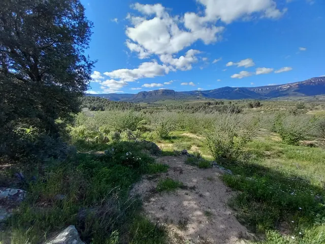 Terreno rural en l'Aleixar — 8