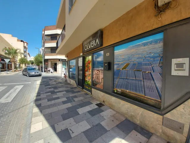Local comercial en alquiler en zona comercial de El Ejido — 4