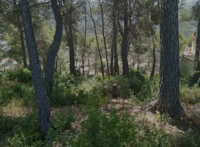 Terreno urbanizable en Can Rovira-Vallirana — 7