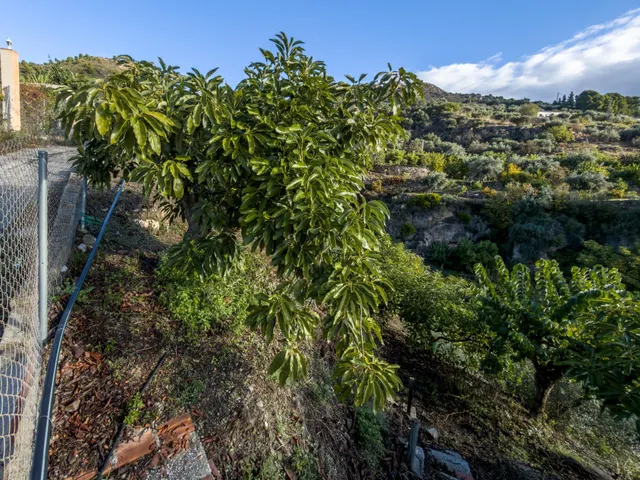 Finca rústica de AGUACATES con CONTRUCCIÓN de 37 m2 en Los Guájares (Faragüit) — 33
