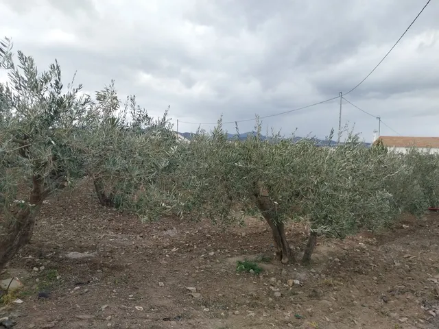 Parcela en Venta en Lorca Murcia — 8
