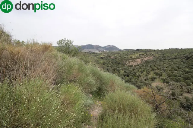 FINCA EN CORTIJO SAN JERÓNIMO (BARTODANO) — 31