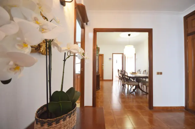 Habitación de uso individual. No se puede empadronar — 8