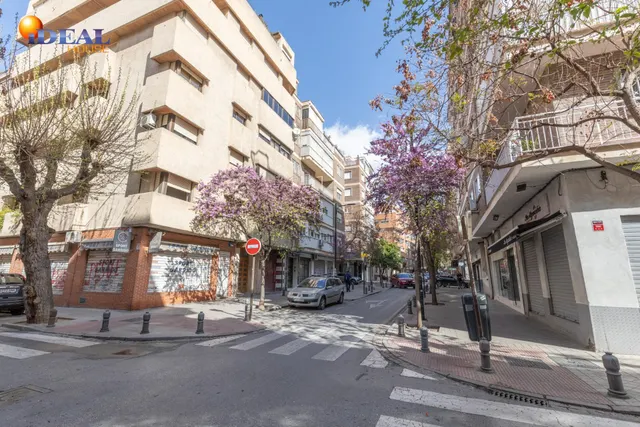 Amplio local comercial en una de las zonas más consolidadas de Granada con salida a dos calles — 29