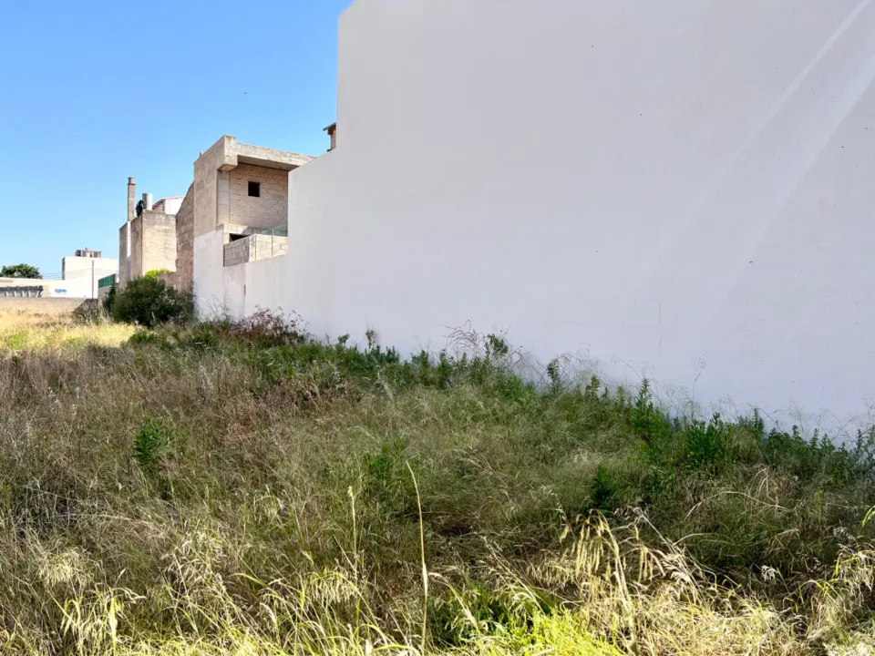 Solar en Sa Pobla
