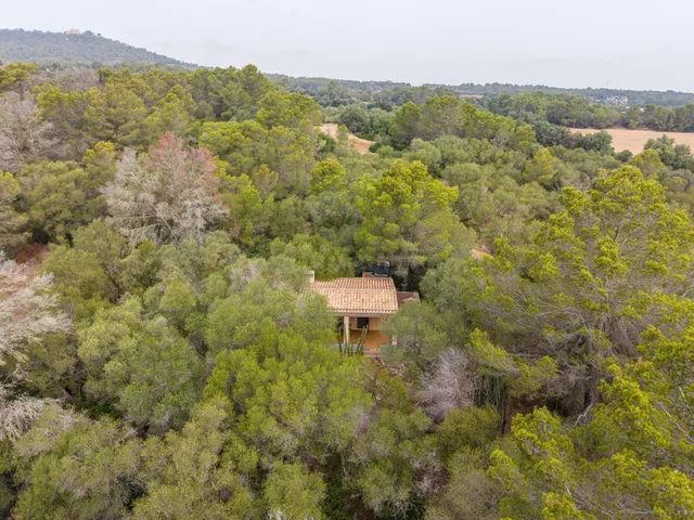 Encanto rústico en plena naturaleza, a solo 5 minutos de Es Cruce – Petra, Mallorca — 4