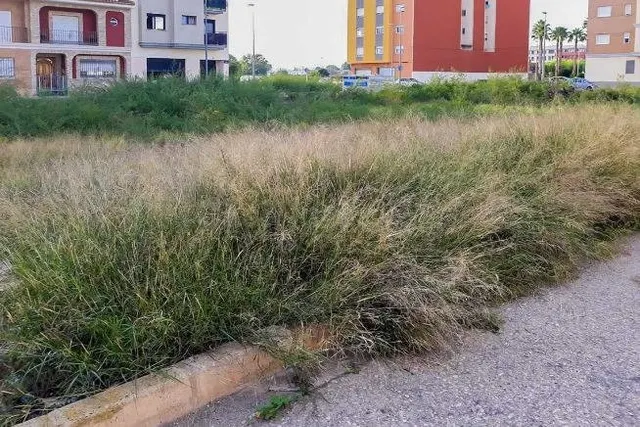 Terreno residencial en c/ Sant Jaume de Carlet - foto 4