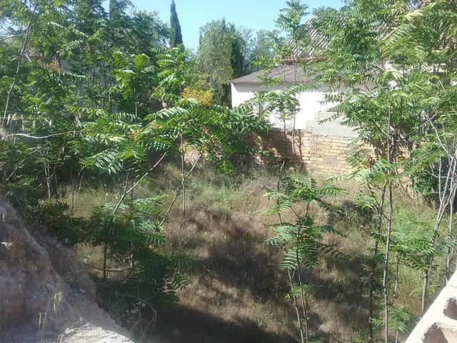 SOLAR EN EL FARGUE — 4