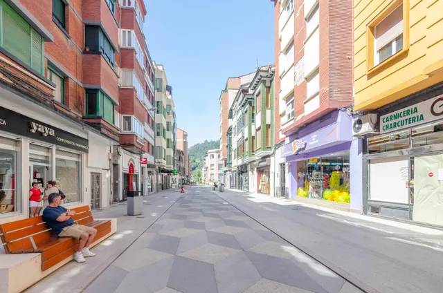 PISO EN ALQUILER CON TERRAZA DE 27METROS EN EL CENTRO DE MIERES — 35
