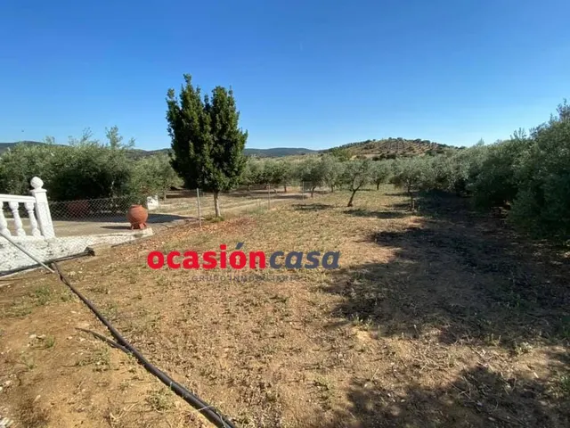 Espectacular parcela con casa, piscina y olivos — 24