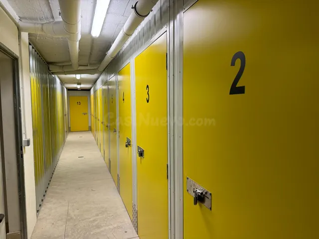 TRASTEROS EN ZONA S'OLIVERA